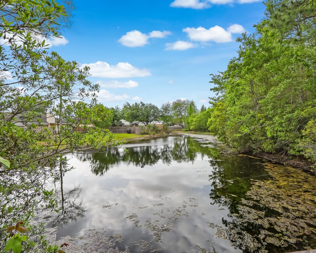 Sue Wilson Photography Jacksonville (26)web